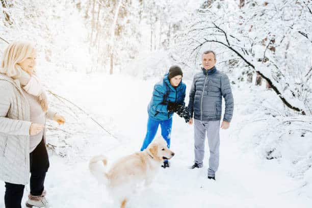 most labradors and labrador puppies tolerate cold