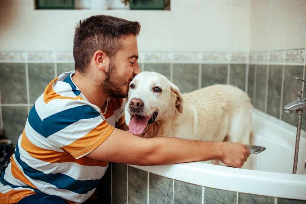 how often should i bathe my labrador puppy