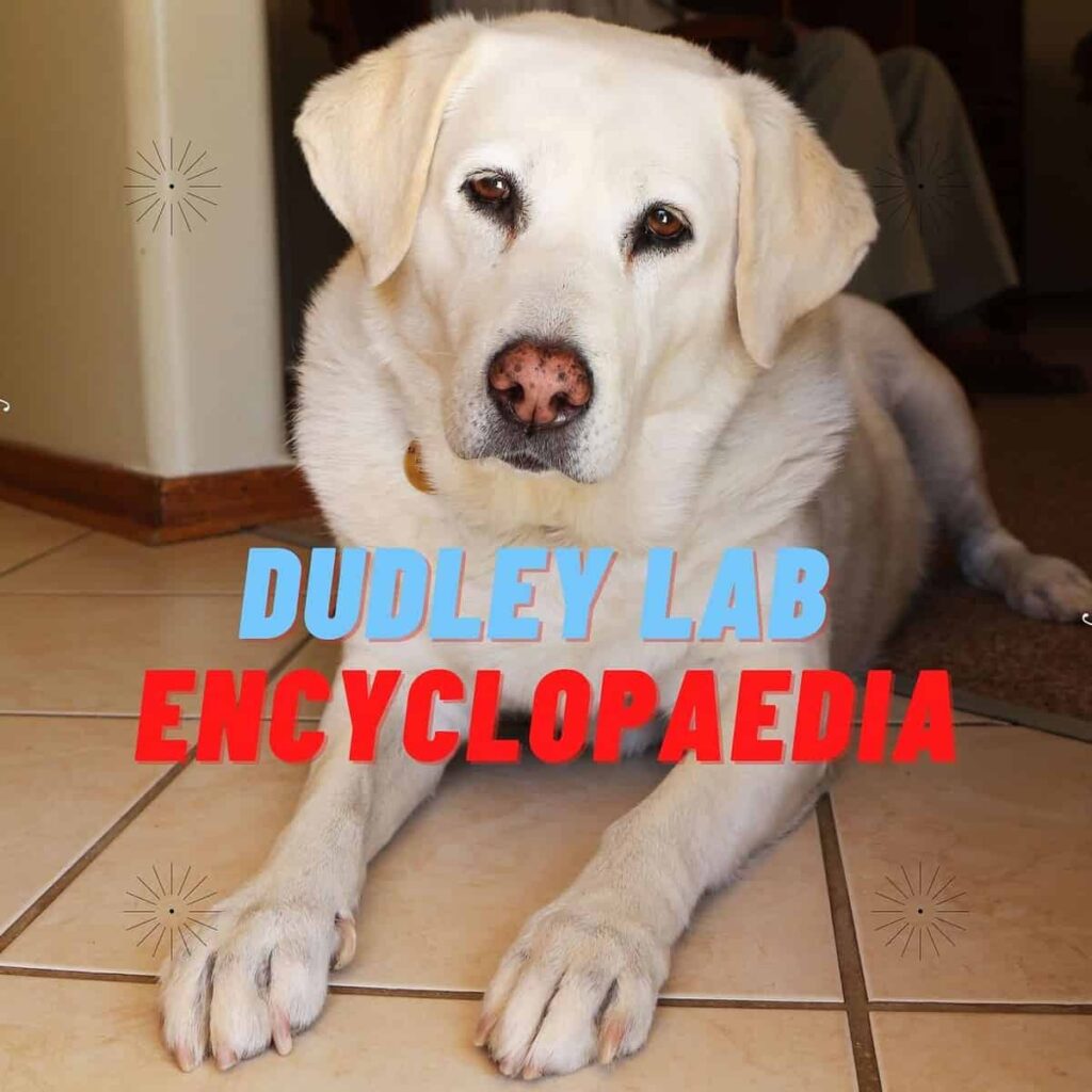Dudley Lab Encyclopaedia