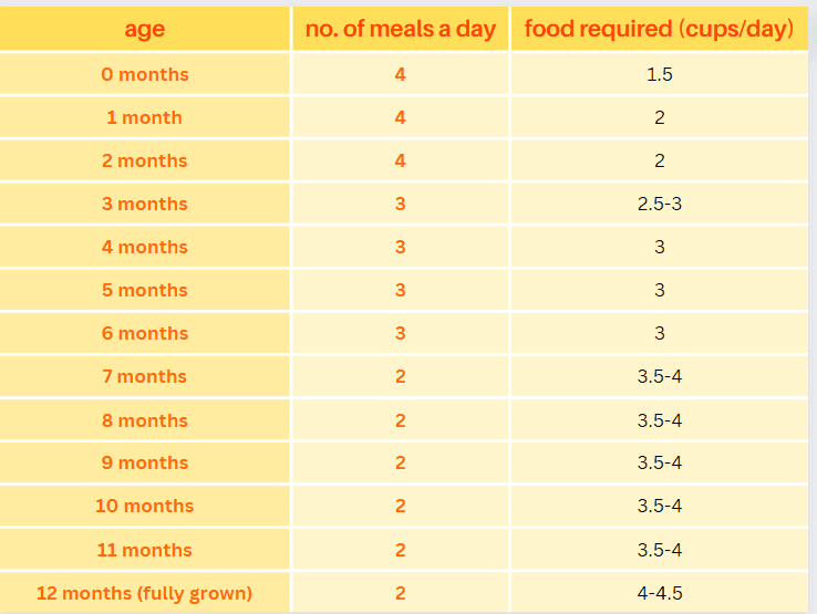 How Much To Feed A Lab Puppy? lab puppy feeding chart