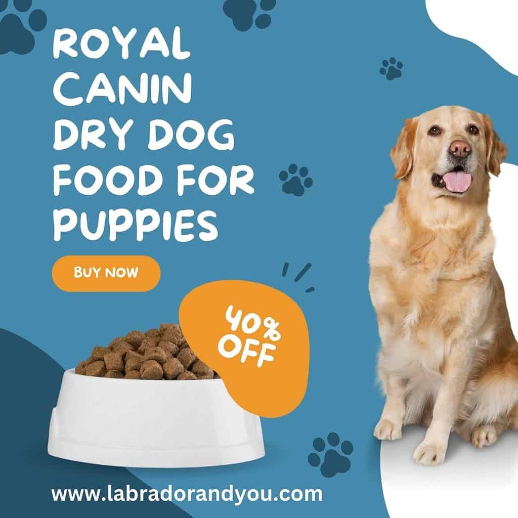 Royal Canin Labrador Retriever Puppy Food