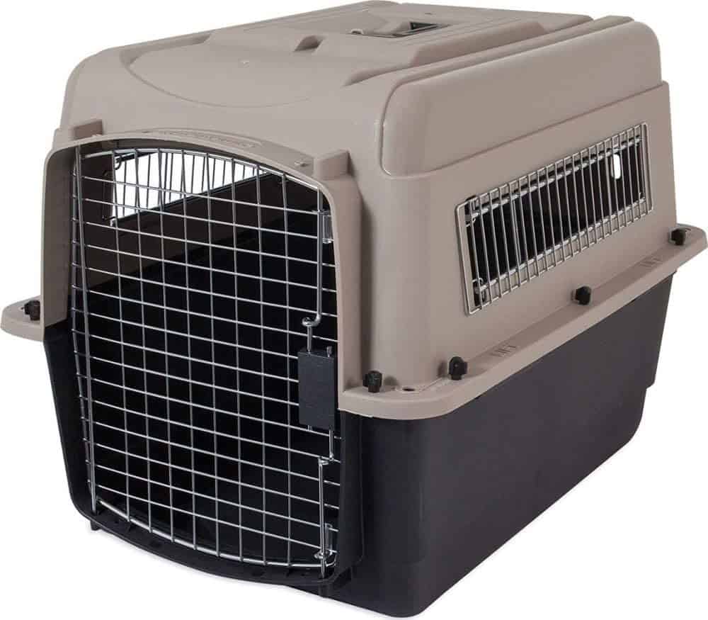 dog kennel for labrador