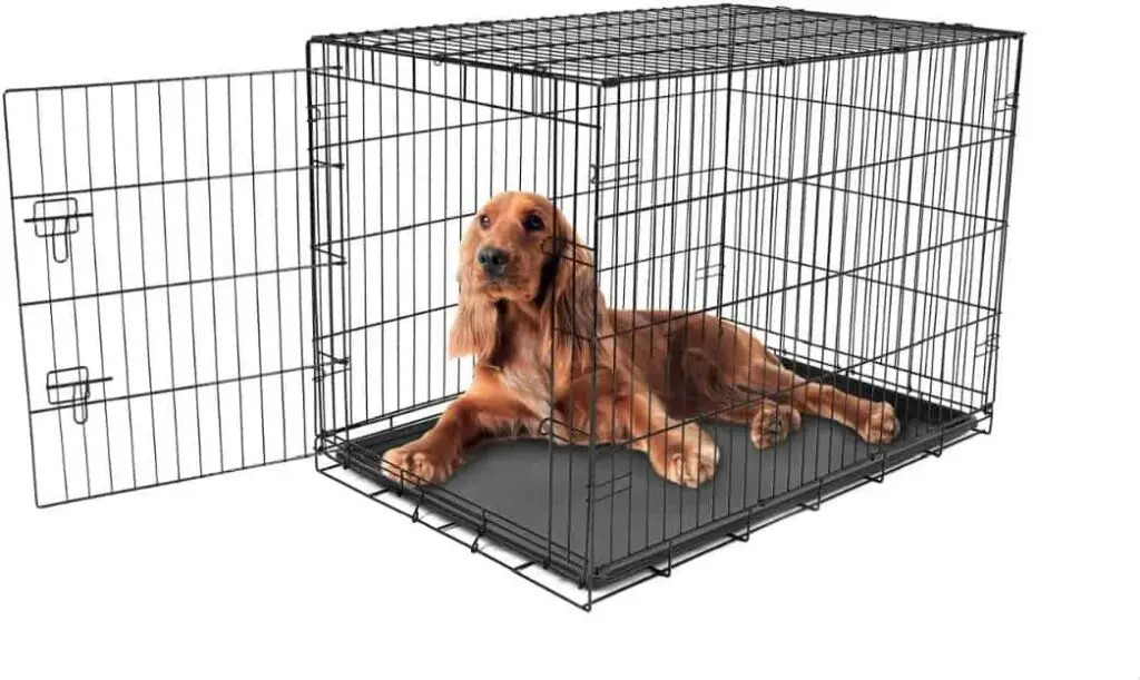 crate for labrador puppy