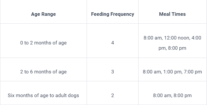 How Much To Feed A Lab Puppy? lab puppy feeding chart