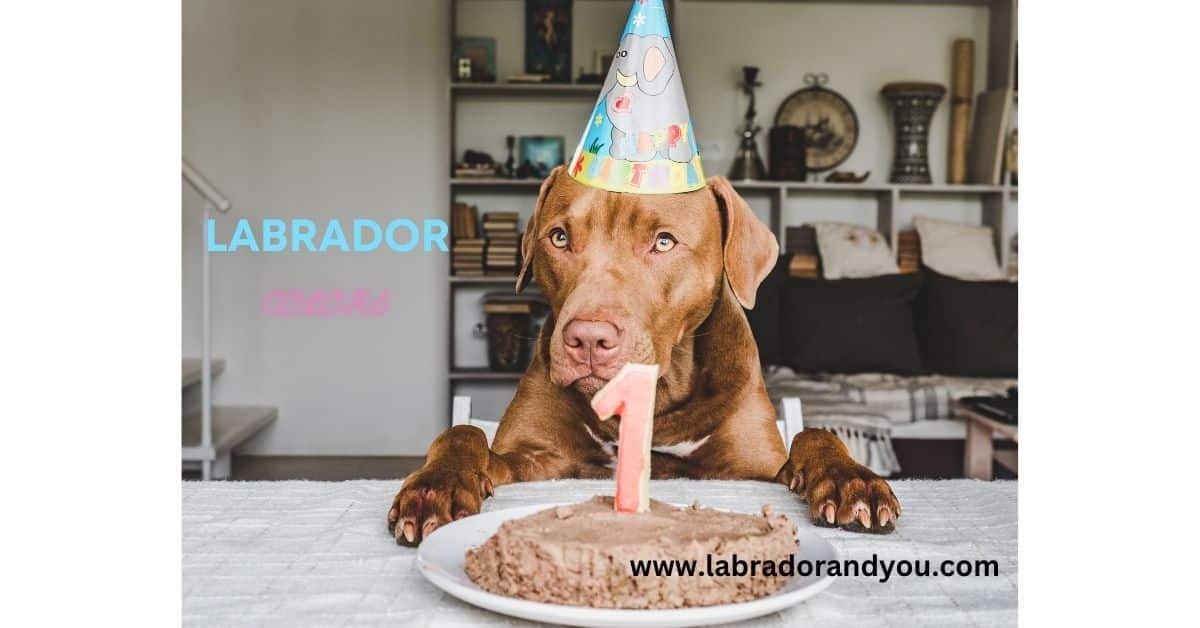 6 Lab Colors Explained With Inheritance