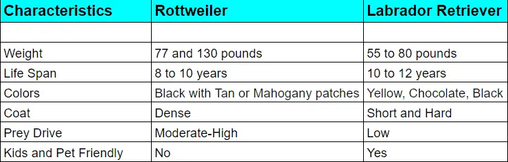 Rottweiler vs labrador; dog breed; hipy dysplasia; elbow dysplasia