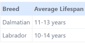 Labrador Retriever vs Dalmatian; two breeds; well mannered nature