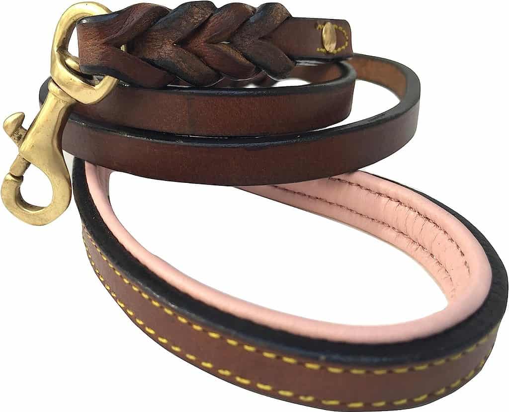 best dog collar for labrador