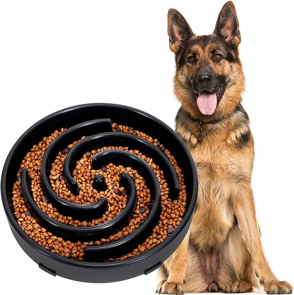 stop dogs from eating fast; normal bowl; good meal
