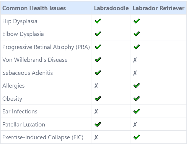 hypoallergenic labradoodle vs labrador retriever; hip and elbow dysplasia; polite pups