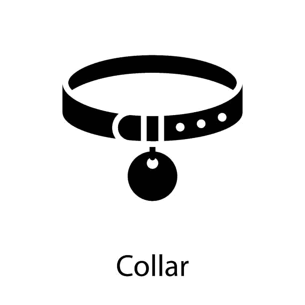 labrador collar size