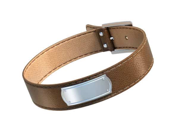 harness or collar for dog