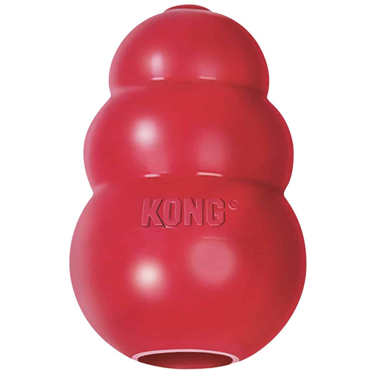 Best Puppy Toys For Labs To Keep Them Busy (Top 23)