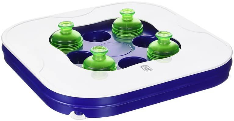 23 Best Puppy Toys For Labs To Keep Them Busy (2025)