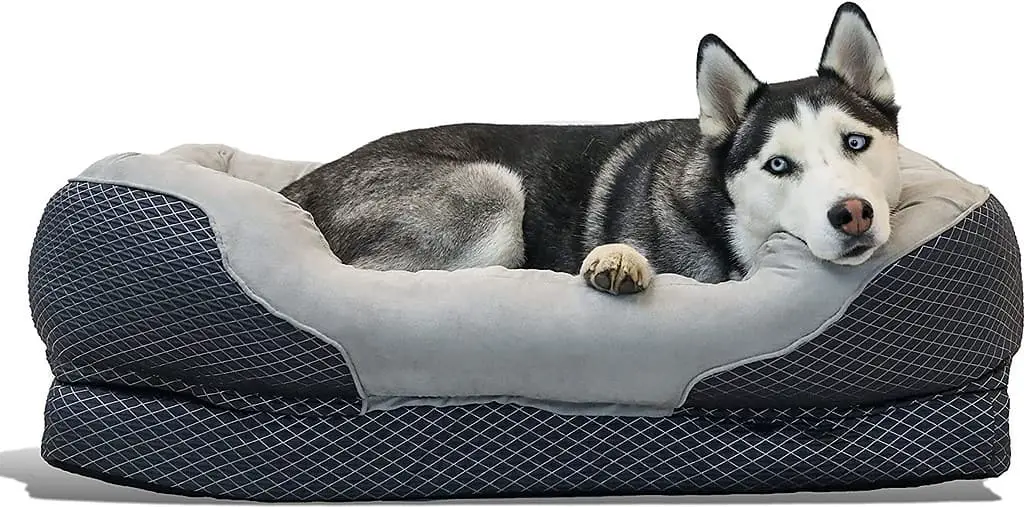 best dog bed for labrador