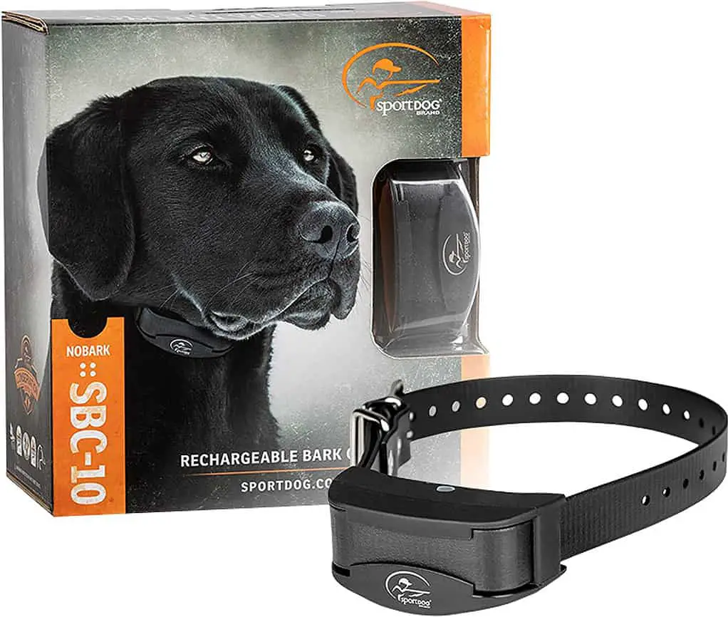 sportdog shock collar