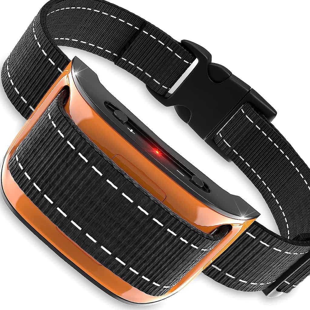 best bark collar for large dogs