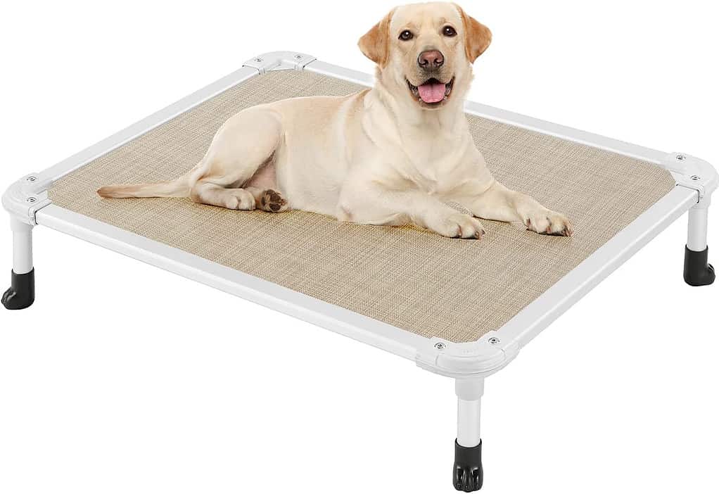 raised dog bed for labrador