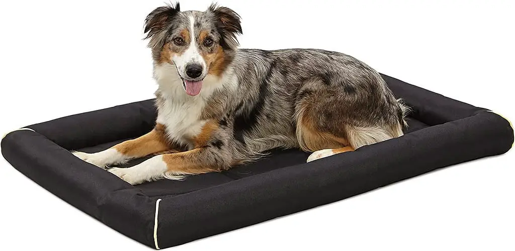 best dog beds for hip dysplasia