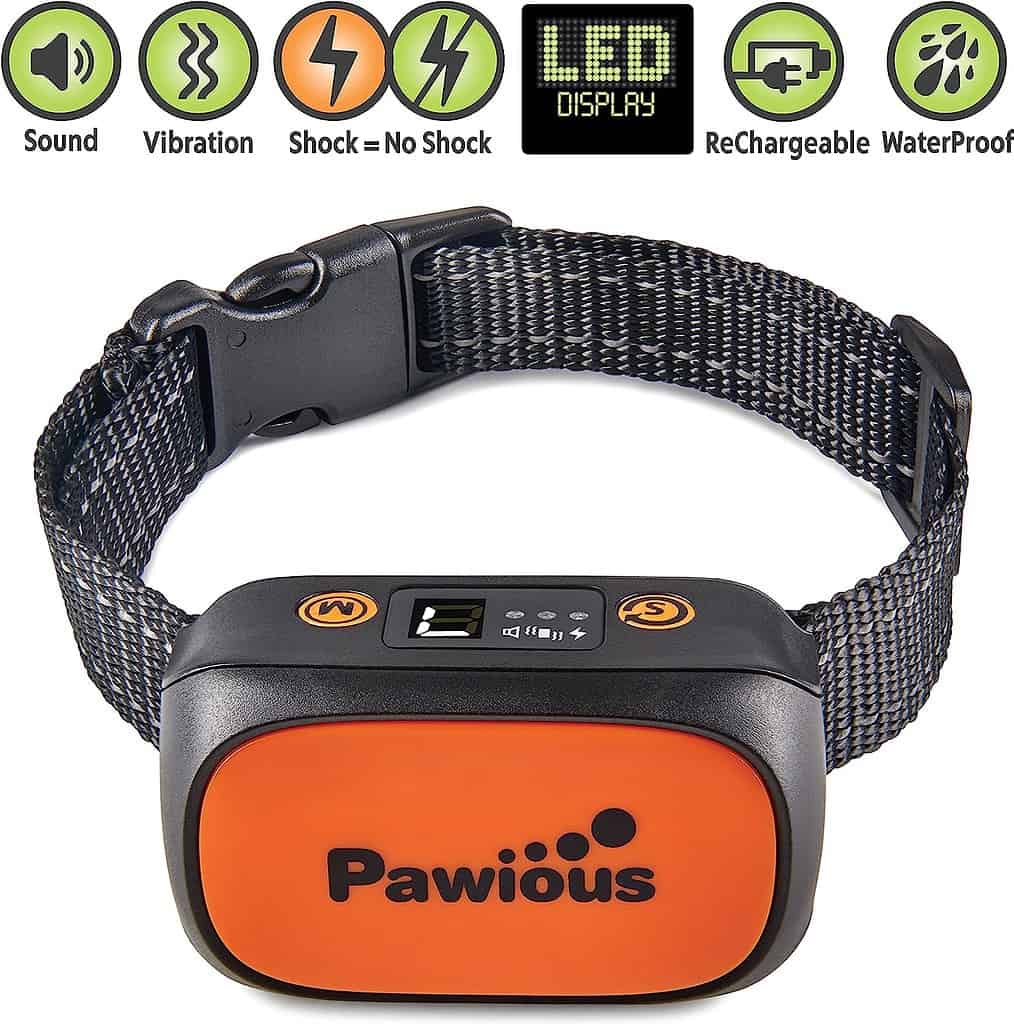 best bark collar for dogs