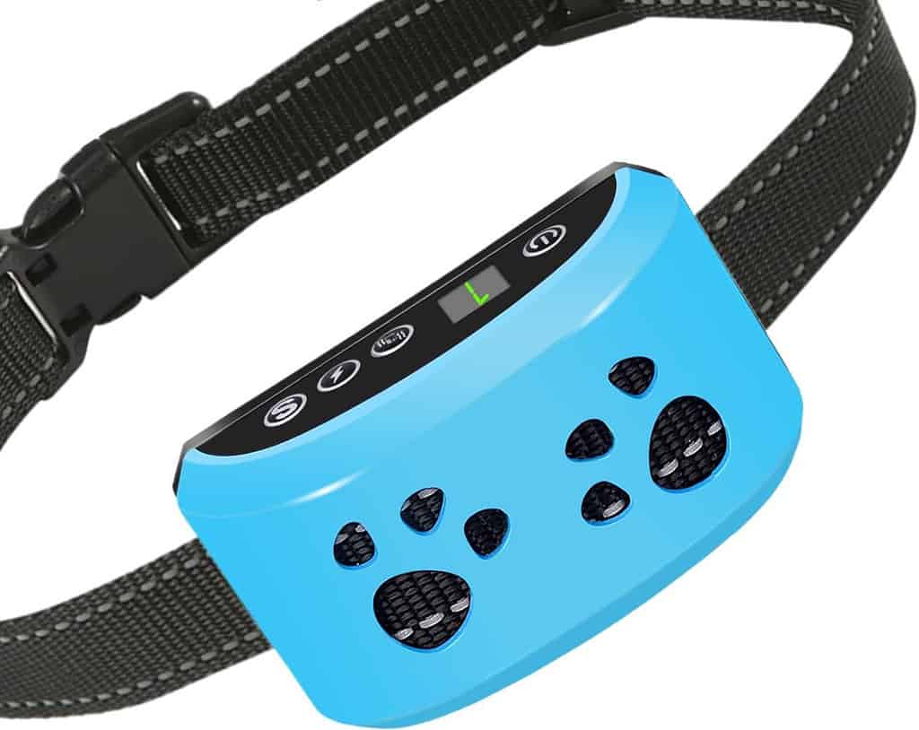 sport dog shock collar