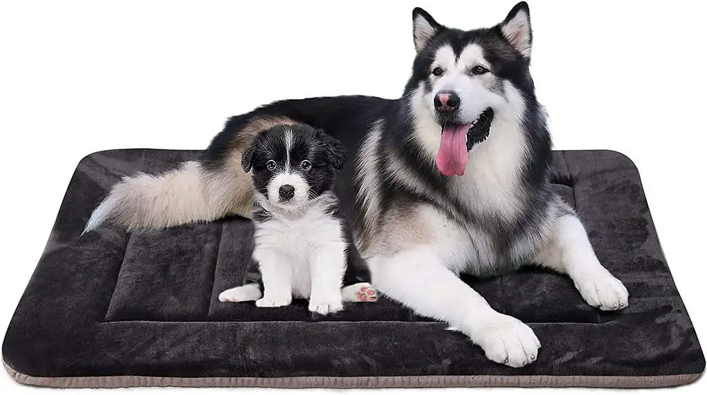 bolster orthopedic dog bed