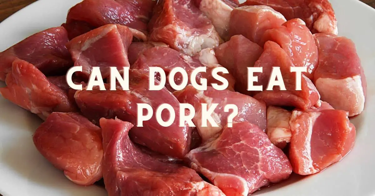 Can Dogs Eat Peanuts & Peanut Butter?