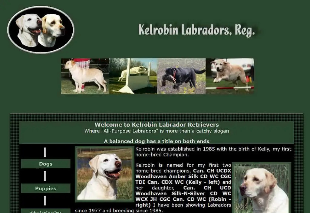 labrador retriever breeders in michigan