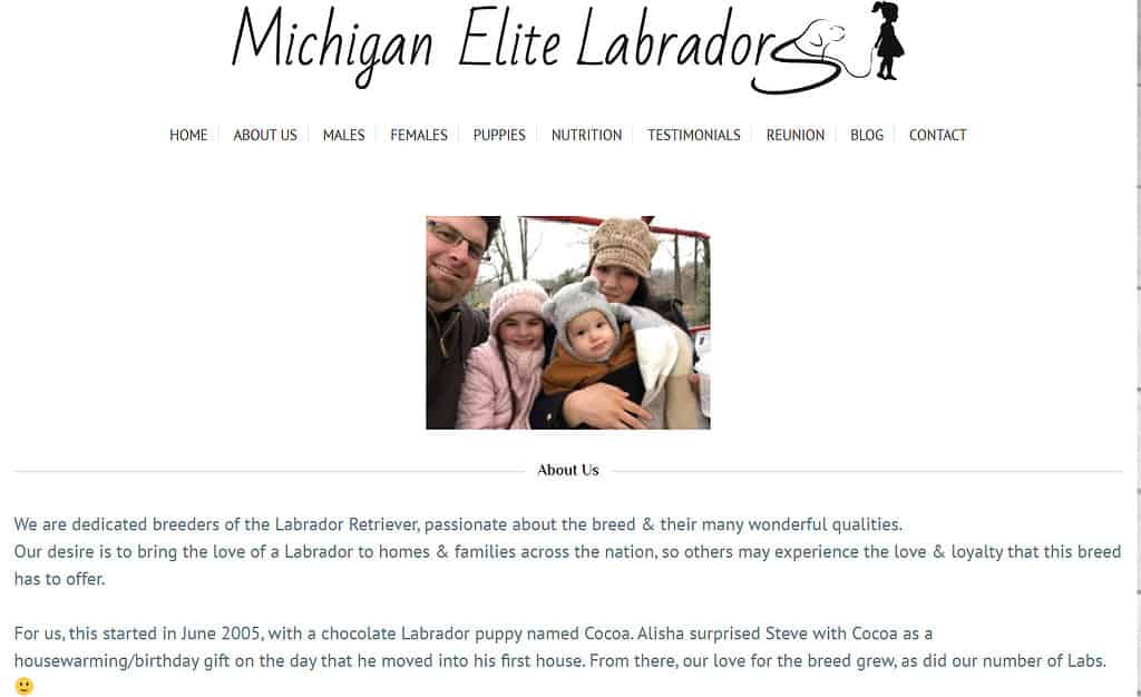 michigan labrador breeders