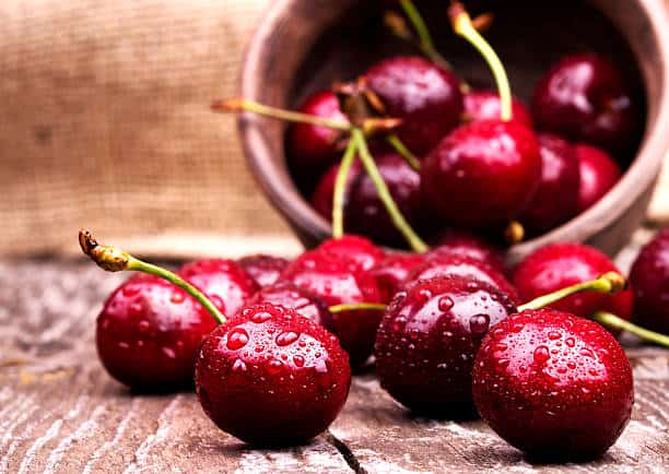 Can dogs eat cherries?