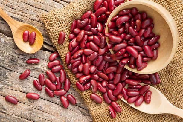 red kidney beans for dogs