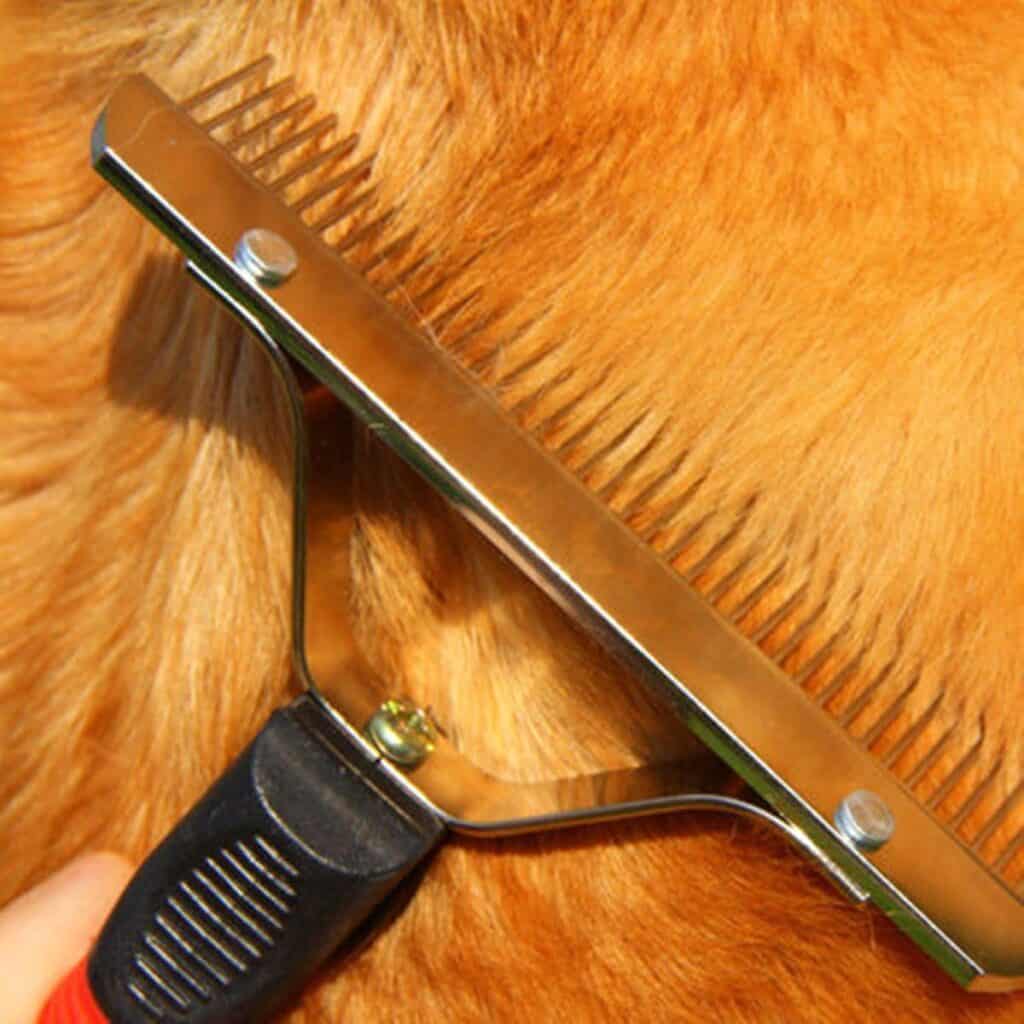 slick brush for dogs