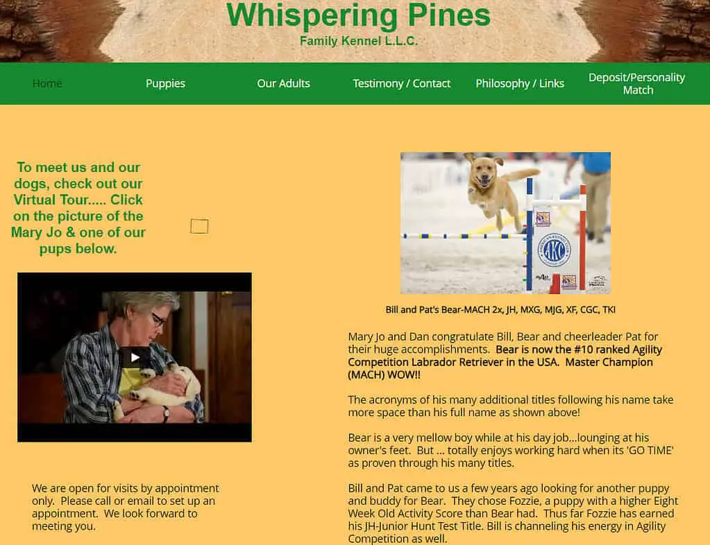 whispering pines labradors