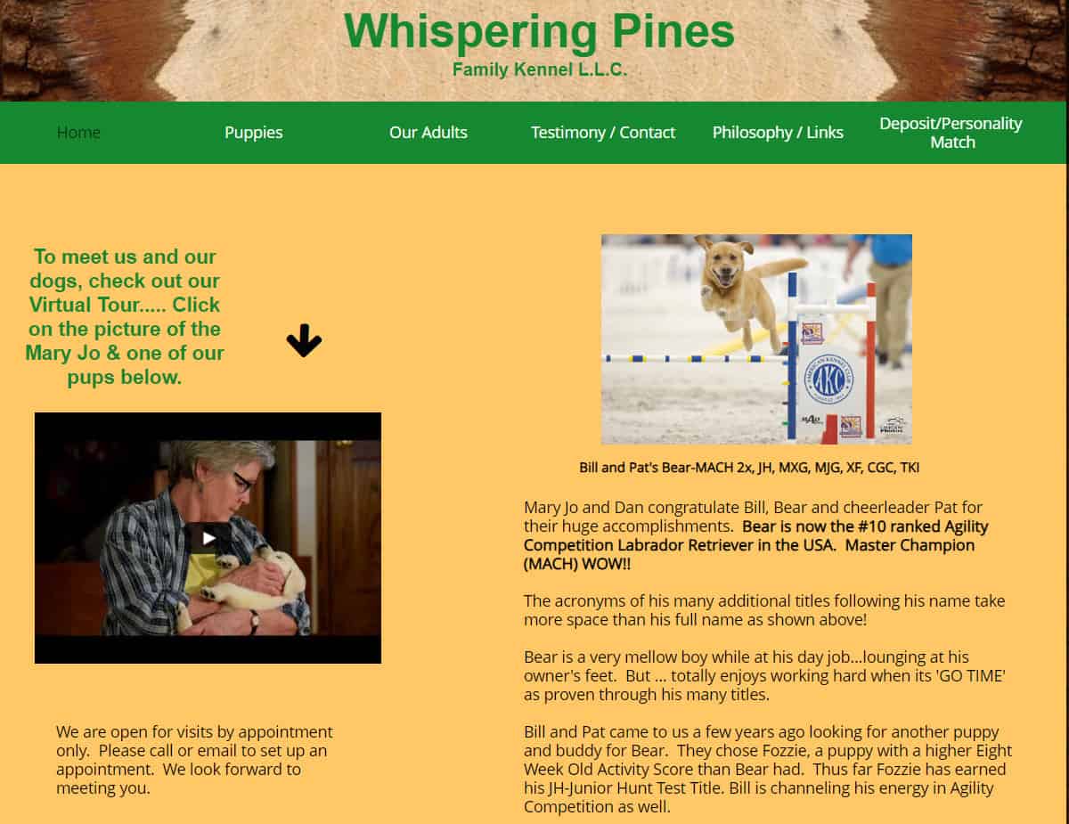 12 Fox Red Labrador Breeders Quality Lab Puppies for Sale