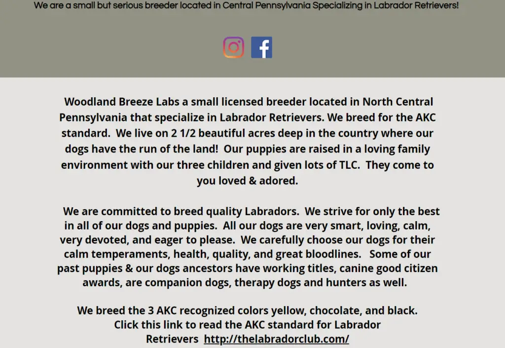 lab breeders pennsylvania