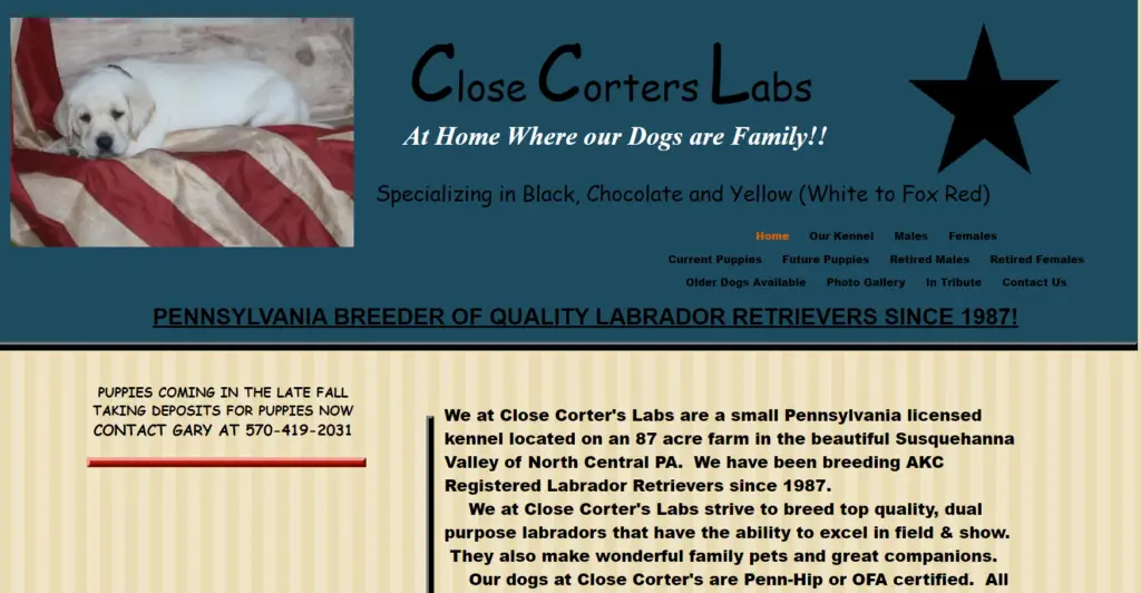 lab breeders in pa 