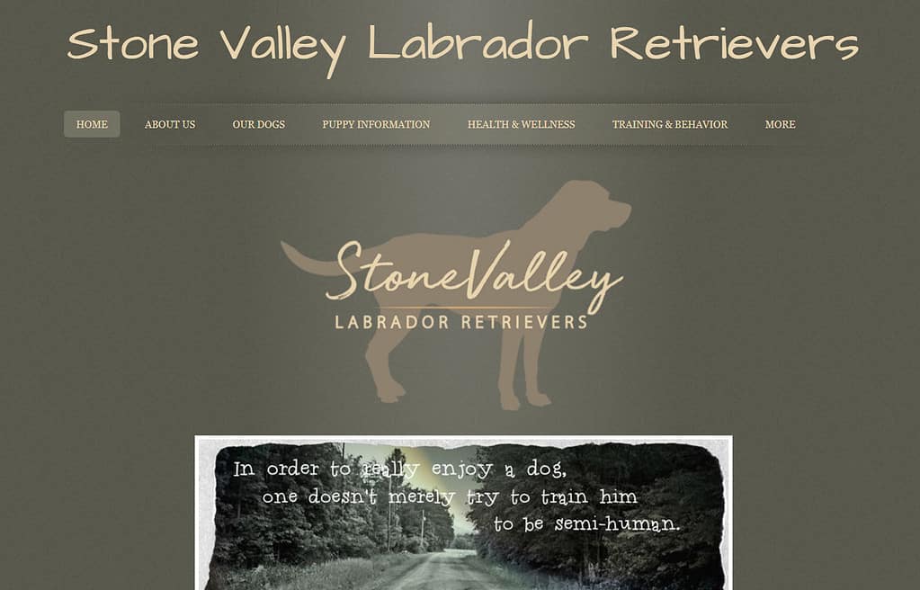 labrador retriever breeders in pa