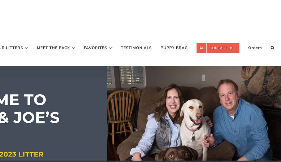 10 Best Labrador Retriever Breeders NH