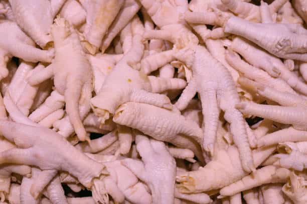 can dogs eat raw chicken feet?