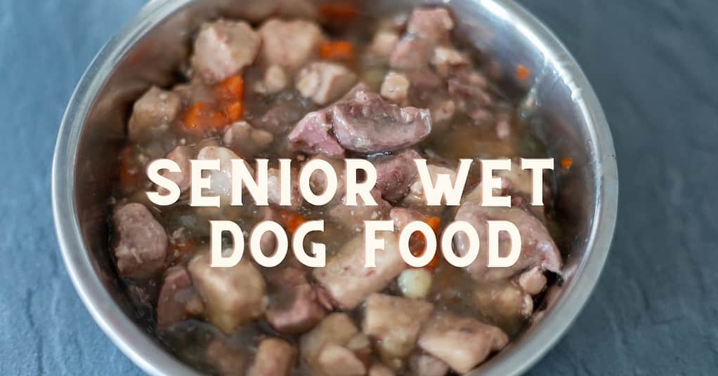 senior wet dog food