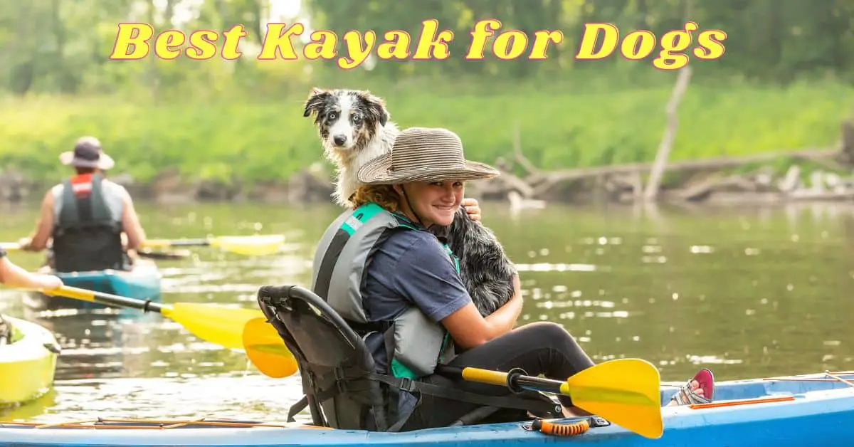 7 Best Kayak For Dogs For Water Adventures