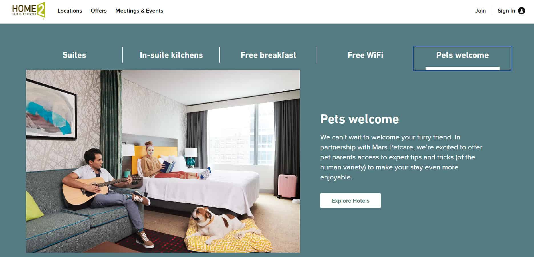 20 Hotels That Allow Large Dogs In USA (Safe In 2024)