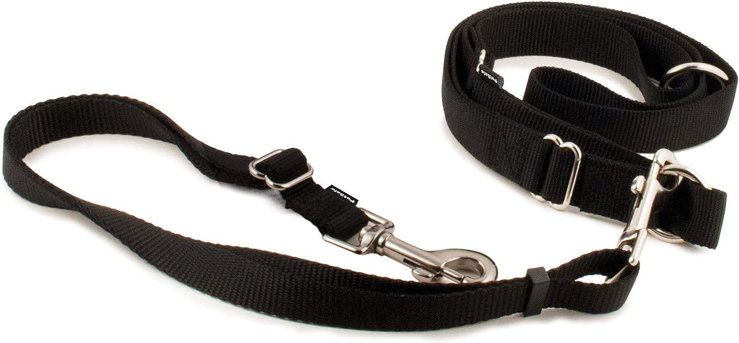 hands-free dog leash for running