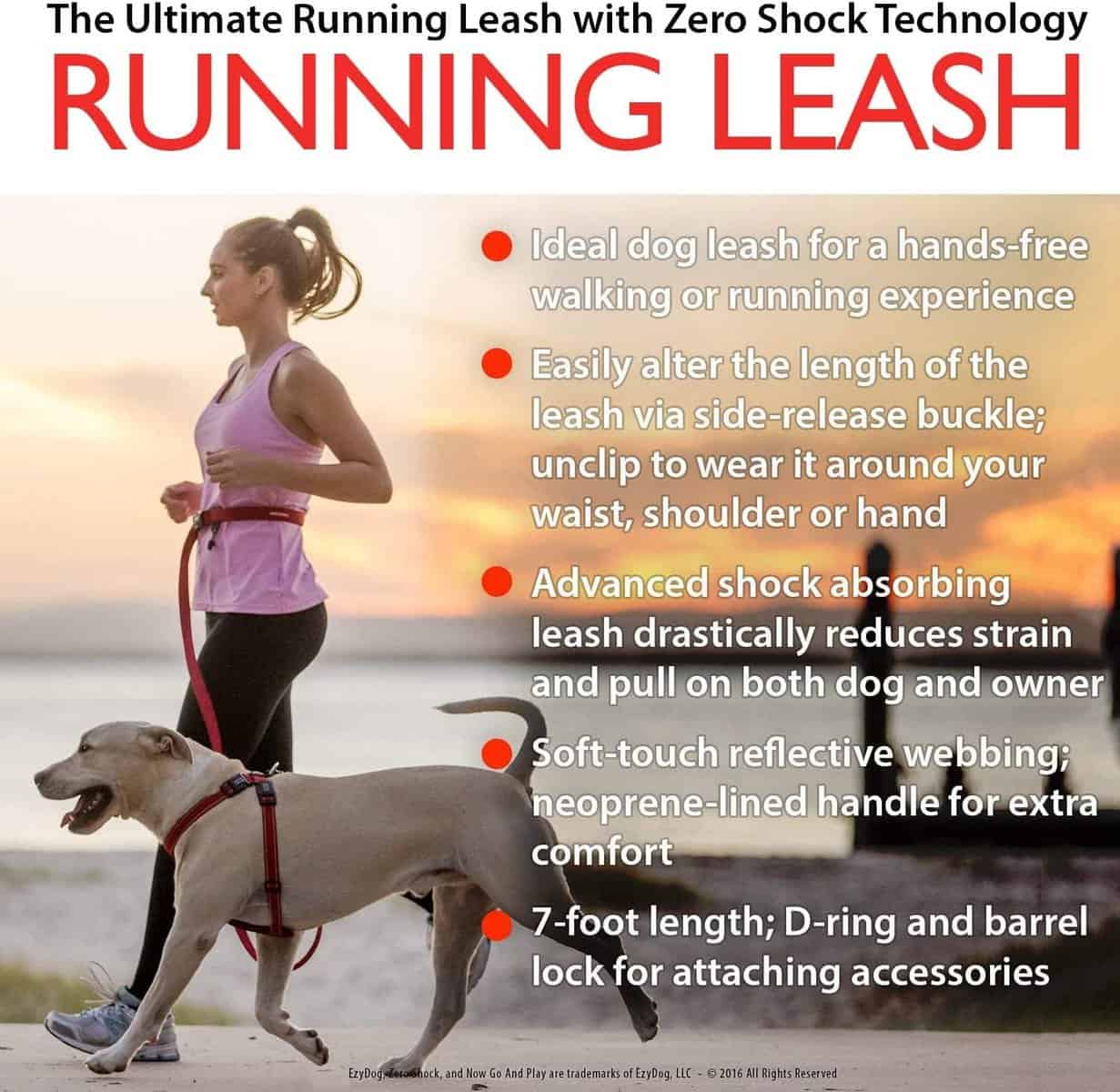 leash for running with dog