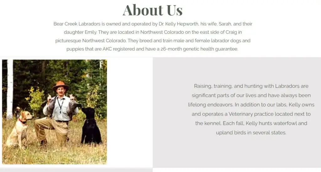 labrador breeders colorado