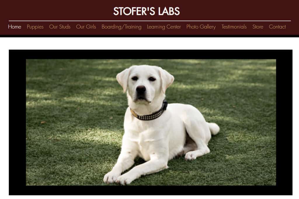 stofer’s labs