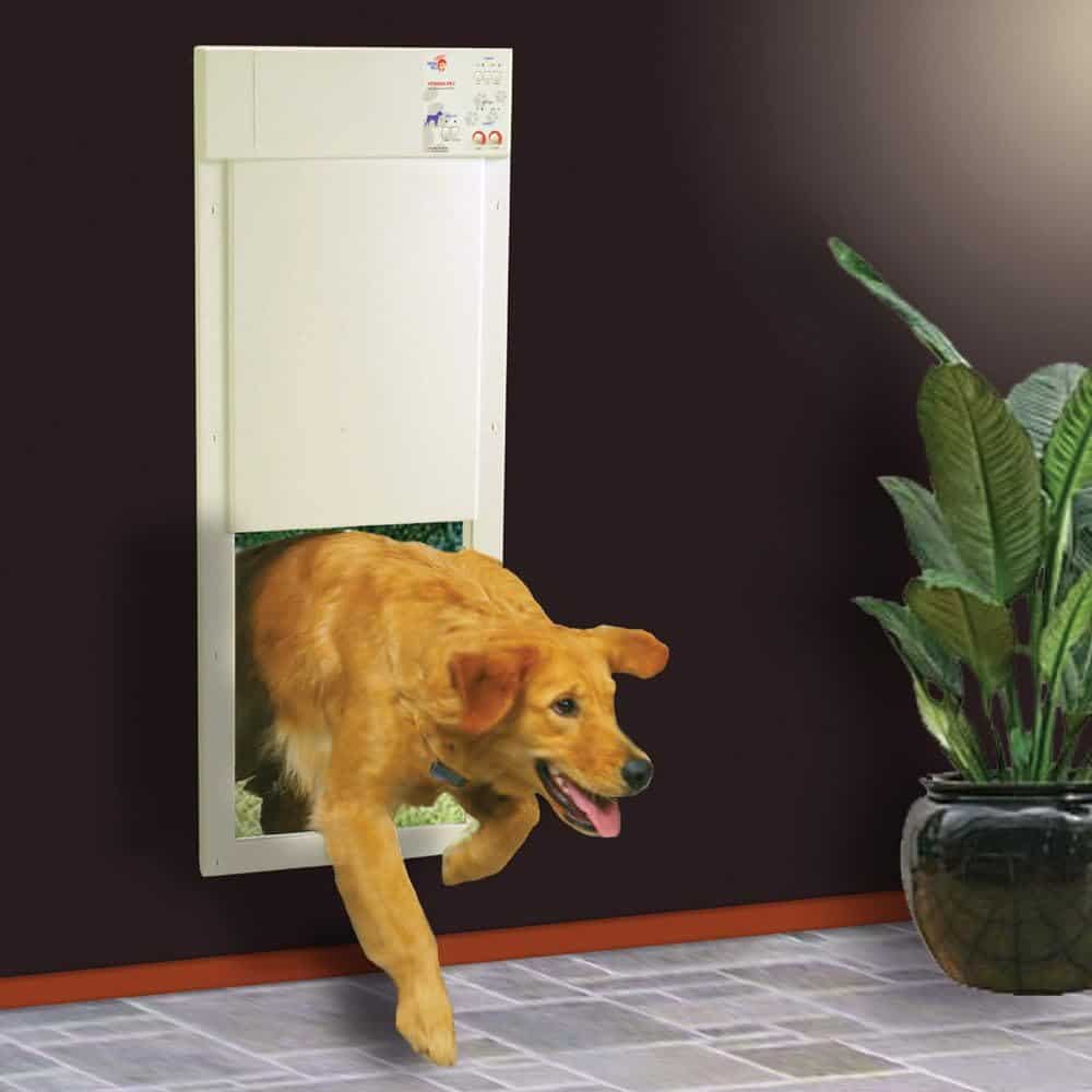 best electronic pet door