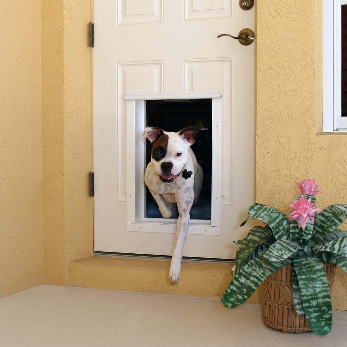 best electronic dog doors