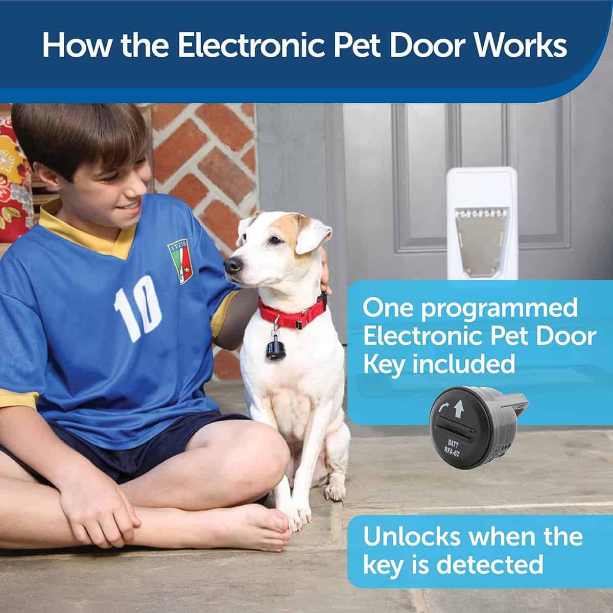 best automatic dog doors