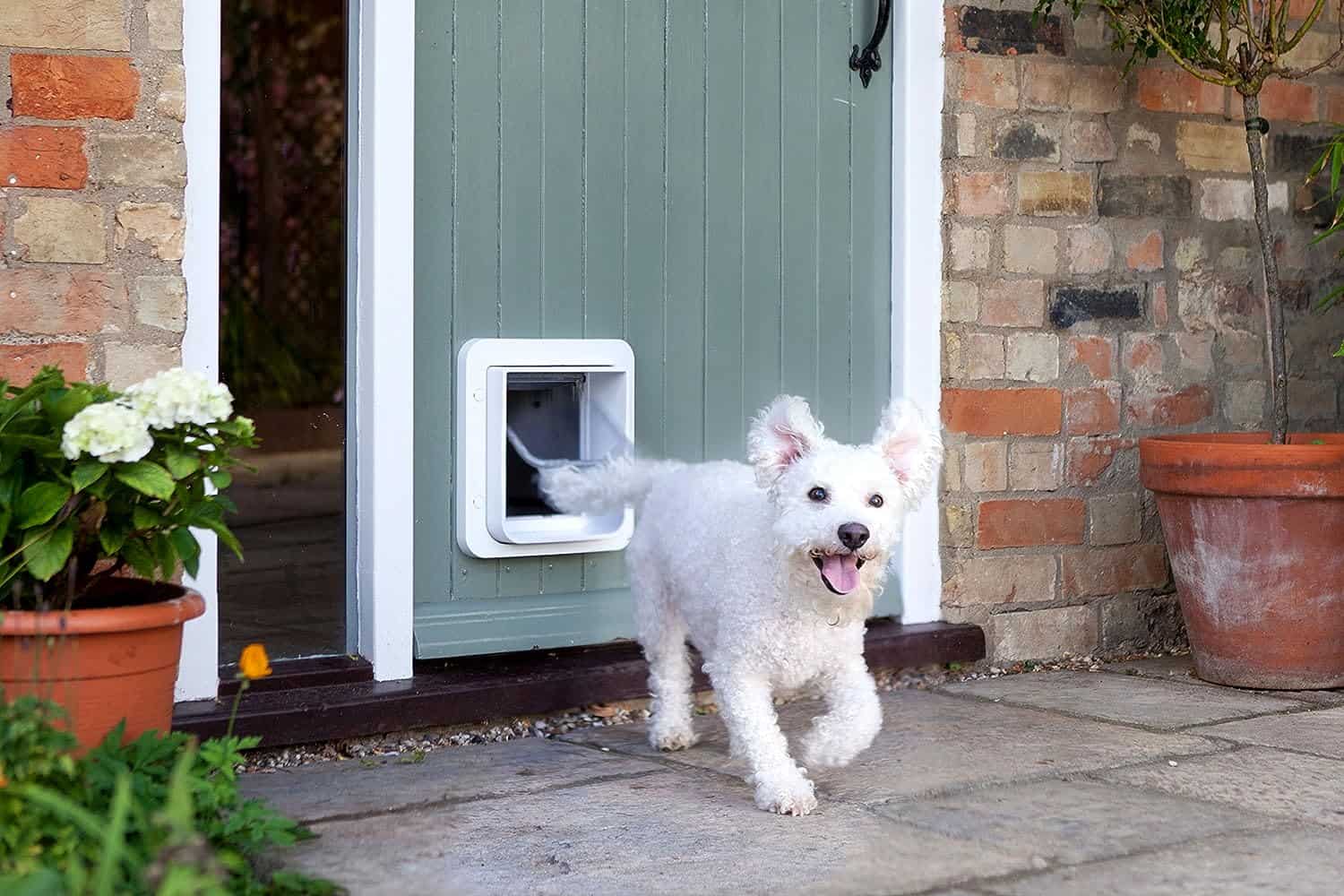 electronic dog door collar